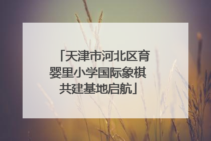 天津市河北区育婴里小学国际象棋共建基地启航