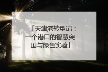 天津港转型记：一个港口的智慧突围与绿色实验