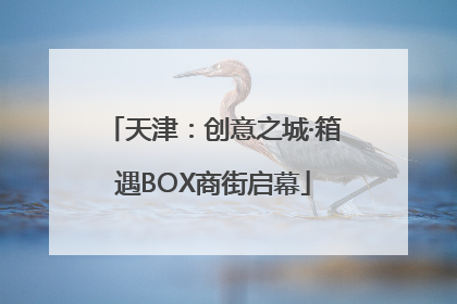 天津：创意之城·箱遇BOX商街启幕