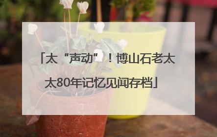太“声动”！博山石老太太80年记忆见闻存档