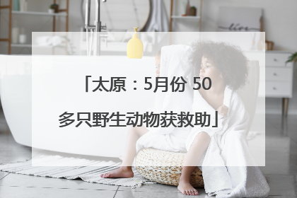 太原：5月份 50多只野生动物获救助