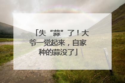 失“蒜”了！大爷一觉起来，自家种的蒜没了
