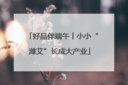 好品伴端午丨小小“潍艾”长成大产业