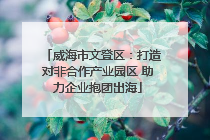 威海市文登区：打造对非合作产业园区 助力企业抱团出海