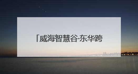 威海智慧谷·东华跨境电商产业园开园