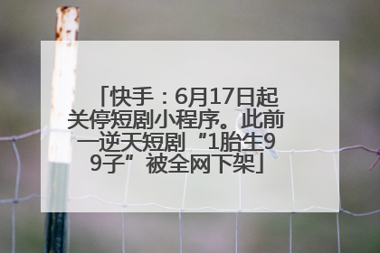 快手：6月17日起关停短剧小程序。此前一逆天短剧“1胎生99子”被全网下架