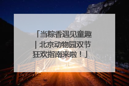 当粽香遇见童趣｜北京动物园双节狂欢指南来啦！