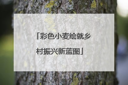 彩色小麦绘就乡村振兴新蓝图