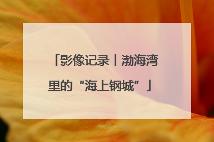 影像记录丨渤海湾里的“海上钢城”