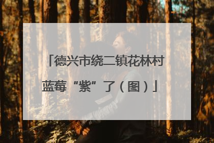 德兴市绕二镇花林村蓝莓“紫”了（图）