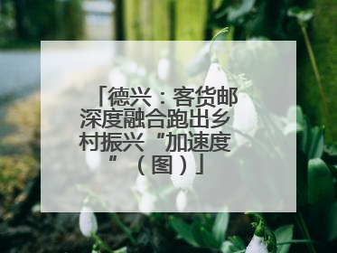 德兴：客货邮深度融合跑出乡村振兴“加速度”（图）