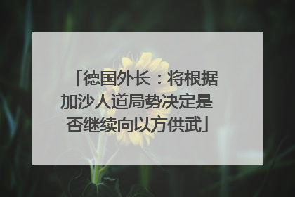 德国外长：将根据加沙人道局势决定是否继续向以方供武