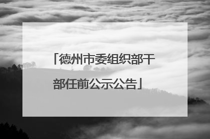 德州市委组织部干部任前公示公告