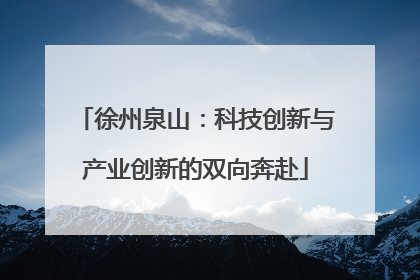 徐州泉山：科技创新与产业创新的双向奔赴