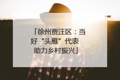 徐州贾汪区：当好“头雁”代表 助力乡村振兴