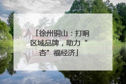 徐州铜山：打响区域品牌，助力“杏”福经济