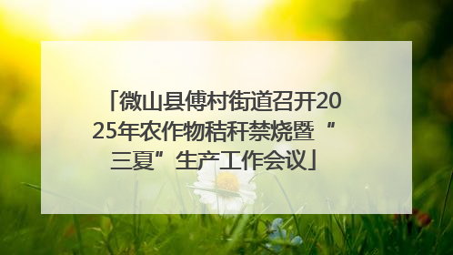 微山县傅村街道召开2025年农作物秸秆禁烧暨“三夏”生产工作会议