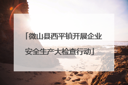 微山县西平镇开展企业安全生产大检查行动