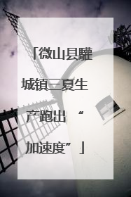 微山县驩城镇三夏生产跑出 “加速度”