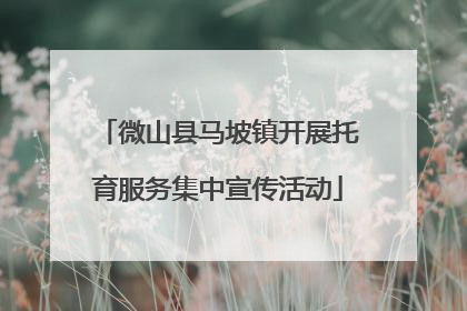 微山县马坡镇开展托育服务集中宣传活动