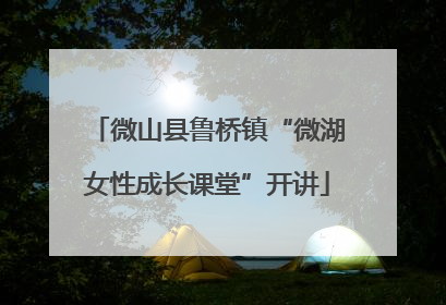 微山县鲁桥镇“微湖女性成长课堂”开讲