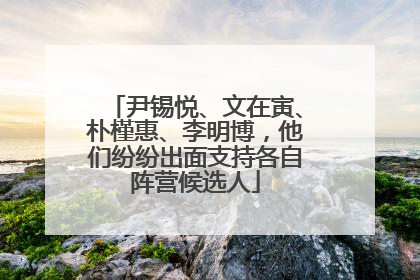 尹锡悦、文在寅、朴槿惠、李明博，他们纷纷出面支持各自阵营候选人