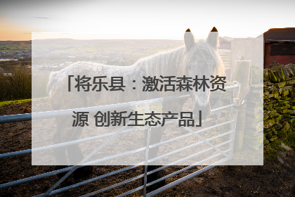 将乐县：激活森林资源 创新生态产品