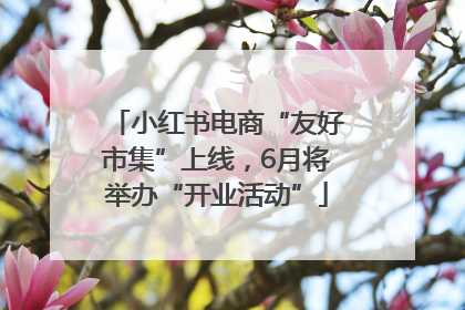 小红书电商“友好市集”上线，6月将举办“开业活动”