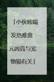 小伙咳喘发热难愈 元凶竟与宠物猫有关