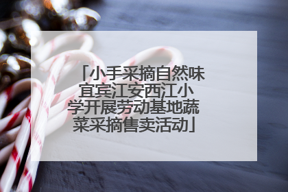 小手采摘自然味 宜宾江安西江小学开展劳动基地蔬菜采摘售卖活动