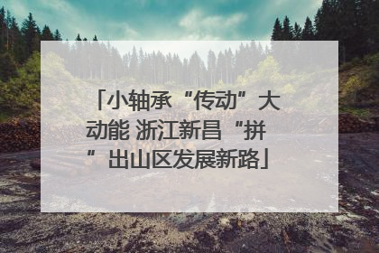 小轴承“传动”大动能 浙江新昌“拼”出山区发展新路