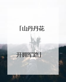 山丹丹花开拥军路