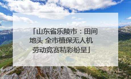 山东省乐陵市：田间地头 全市植保无人机劳动竞赛精彩纷呈