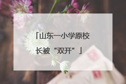 山东一小学原校长被“双开”