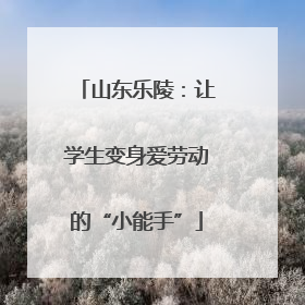 山东乐陵：让学生变身爱劳动的“小能手”