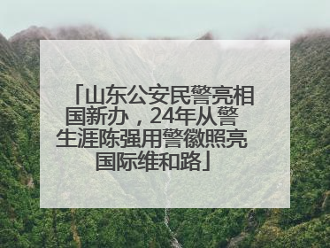 山东公安民警亮相国新办，24年从警生涯陈强用警徽照亮国际维和路