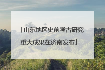 山东地区史前考古研究重大成果在济南发布