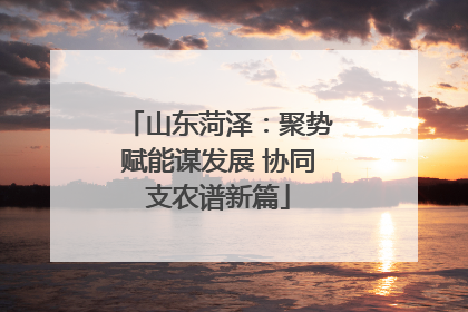 山东菏泽：聚势赋能谋发展 协同支农谱新篇