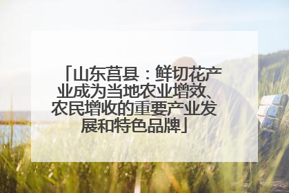 山东莒县：鲜切花产业成为当地农业增效、农民增收的重要产业发展和特色品牌