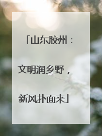 山东胶州：文明润乡野，新风扑面来