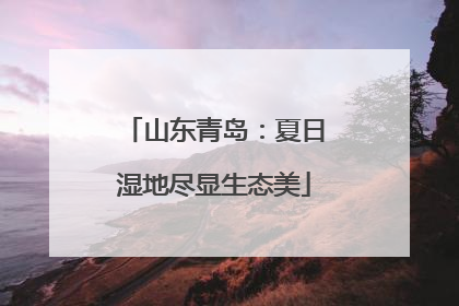 山东青岛：夏日湿地尽显生态美