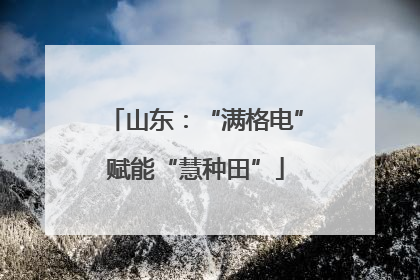 山东：“满格电”赋能“慧种田”