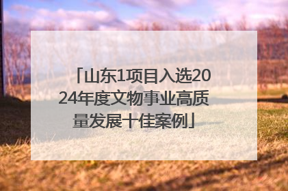 山东1项目入选2024年度文物事业高质量发展十佳案例