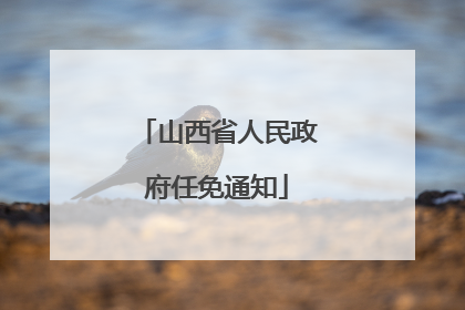 山西省人民政府任免通知