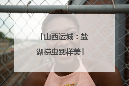 山西运城：盐湖捞虫别样美