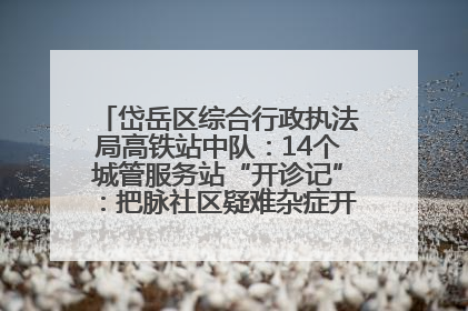 岱岳区综合行政执法局高铁站中队：14个城管服务站“开诊记”：把脉社区疑难杂症开出治理良方