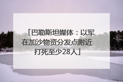 巴勒斯坦媒体：以军在加沙物资分发点附近打死至少28人