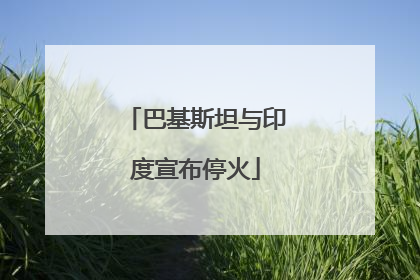 巴基斯坦与印度宣布停火