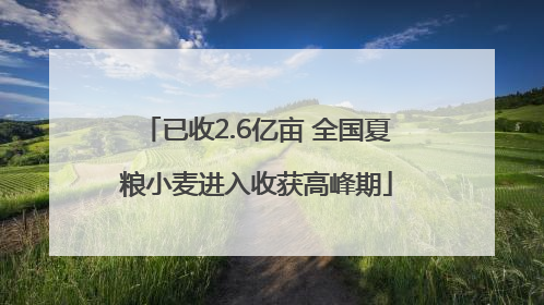 已收2.6亿亩 全国夏粮小麦进入收获高峰期