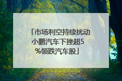市场利空持续扰动 小鹏汽车下挫超5%领跌汽车股